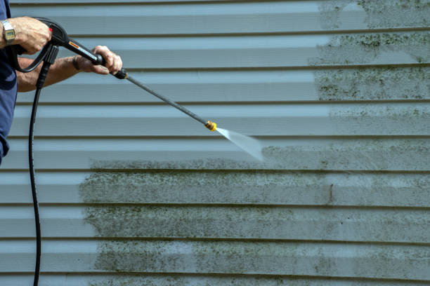 Best Roof Pressure Washing  in Fort Payne, AL